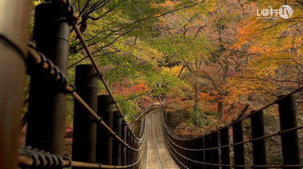 花貫渓谷 茨城県高萩市 の紅葉 例年の見頃は11月中旬 11月下旬 心残景色