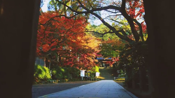 大興善寺 佐賀県三養基郡基山町 の紅葉 例年の見頃は11月中旬 12月上旬 心残景色