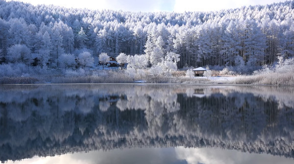 冬の聖高原・中牧湖（長野県北部）の霧氷（樹氷？）は、幻想的で美しい 