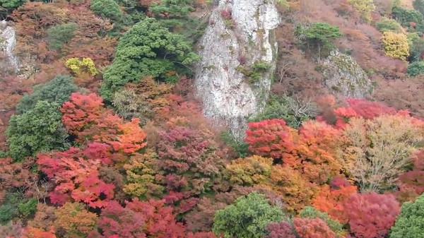 感動の渓谷美 寒霞渓ロープウェイ 香川県小豆島町 から見る紅葉が美しい 心残景色