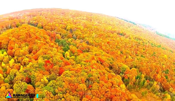 八幡平 岩手県八幡平市 の紅葉が絶景すぎる 心残景色