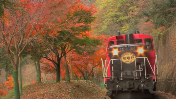 嵯峨野トロッコ列車 京都府京都市 から見る紅葉は やはり美しい 心残景色