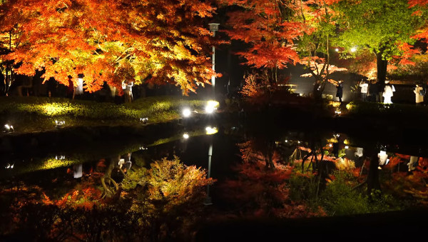曽木公園 岐阜県土岐市 の紅葉シーズンのライトアップは 本当に美しい 心残景色