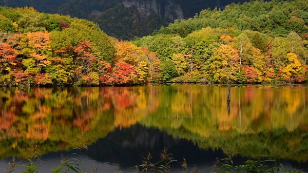 戸隠高原 鏡池 長野県長野市 の紅葉が神秘的すぎる 心残景色