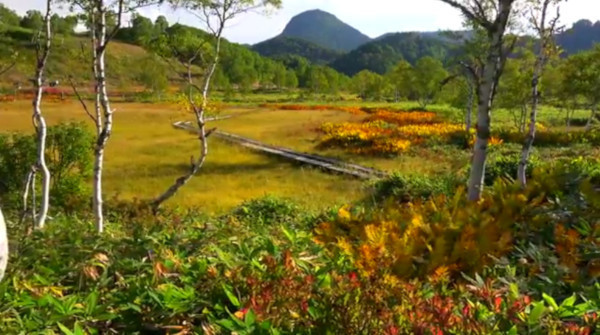 志賀高原 田ノ原湿原 長野県山ノ内町 の紅葉が美しい 心残景色