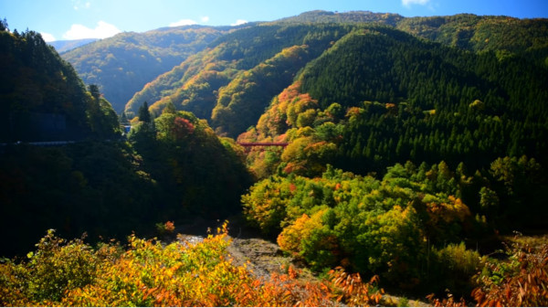 色鮮やかな松川渓谷 長野県高山村 の紅葉が絶景すぎる 心残景色