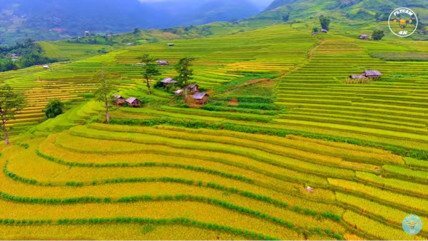 美しすぎるベトナムの棚田！ムーカンチャイが絶景すぎる！: 心残景色