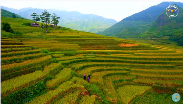 美しすぎるベトナムの棚田！ムーカンチャイが絶景すぎる！: 心残景色